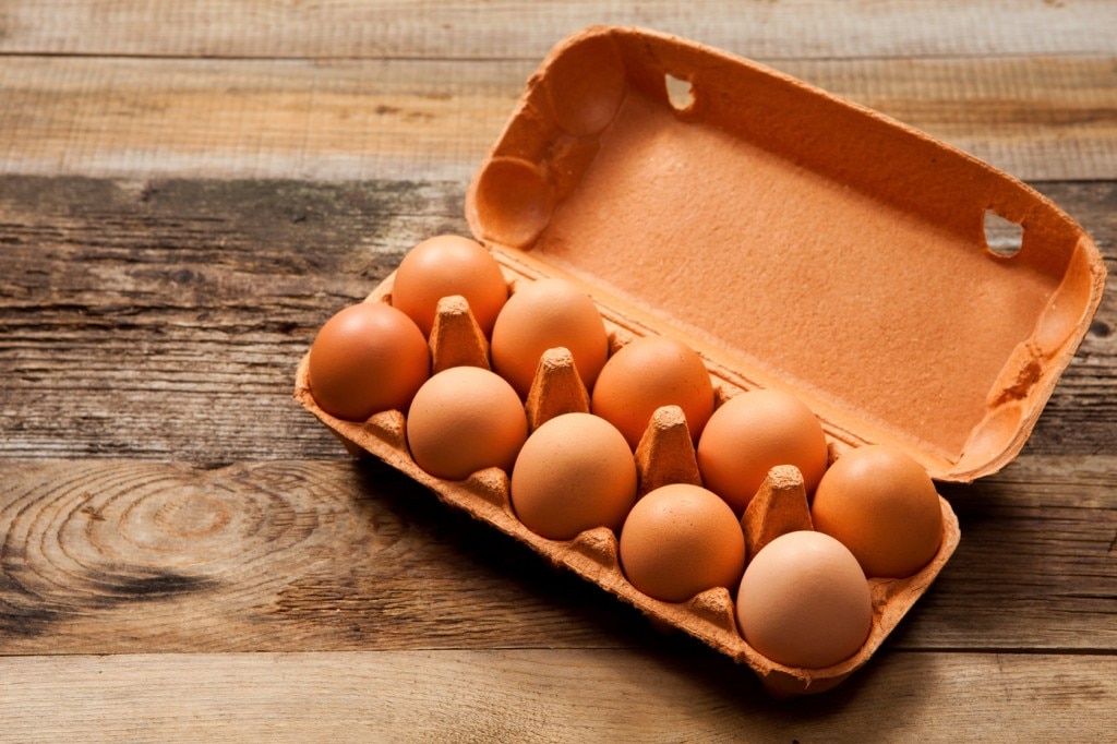 eggs