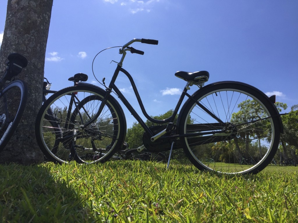 Bike in grass next to tree