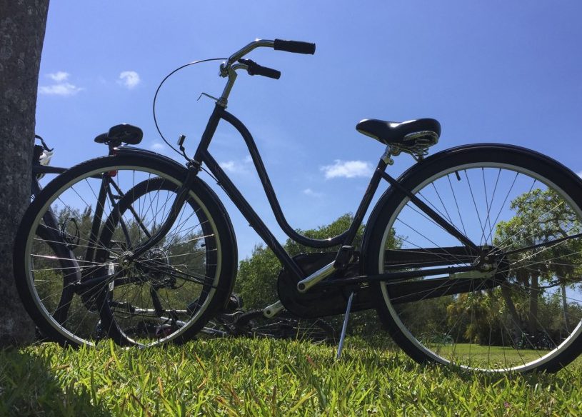 Bike in grass next to tree