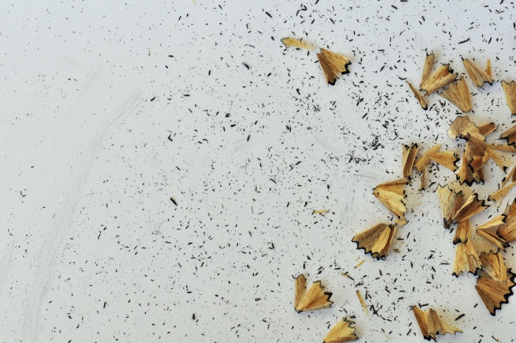 Pencil sharpener shavings