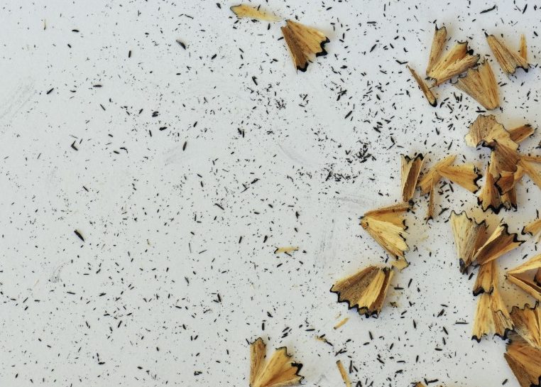 Pencil sharpener shavings