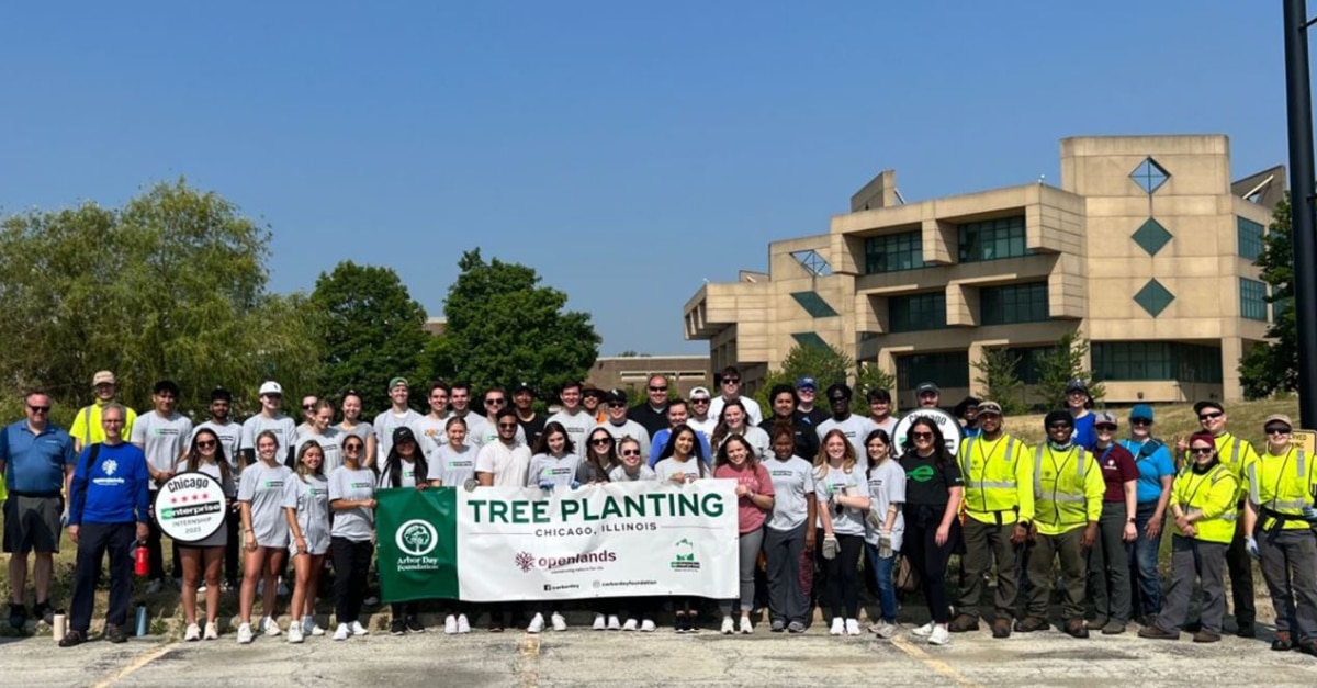 Enterprise employees at a tree planting event in Chicago, Illinois